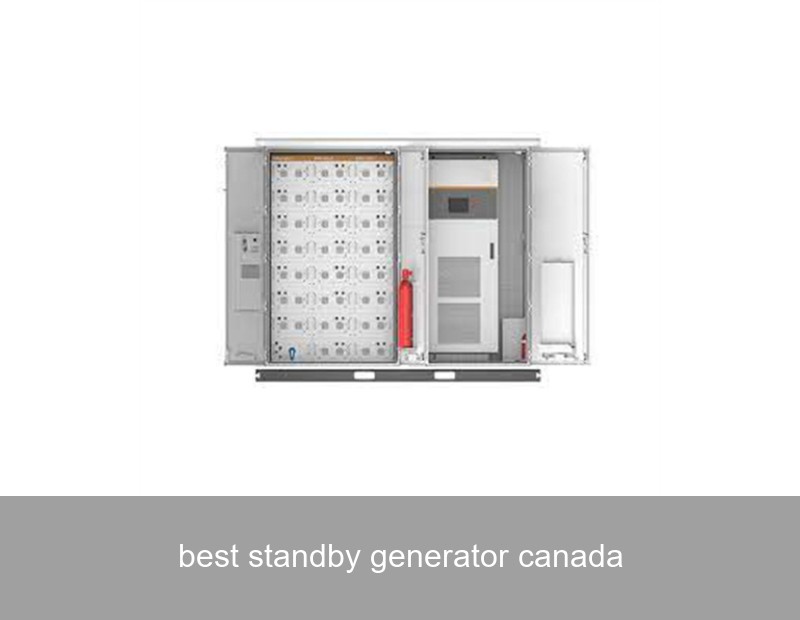 best standby generator canada