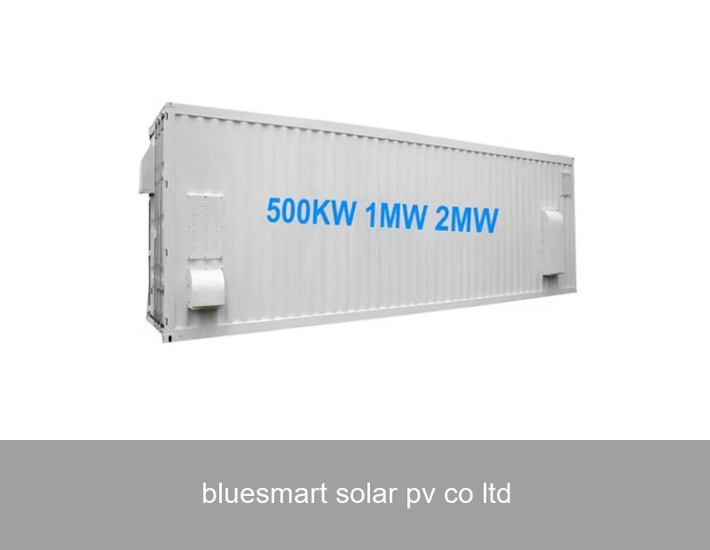 bluesmart solar pv co ltd