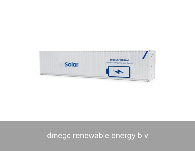 dmegc renewable energy b v