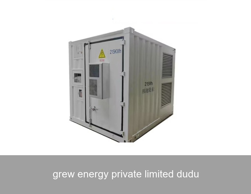 grew energy private limited dudu