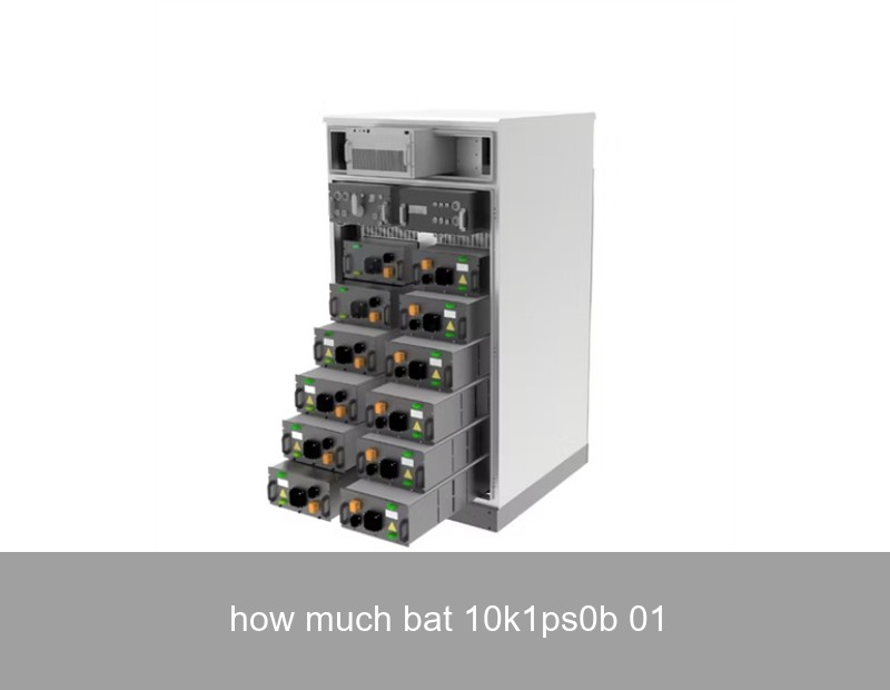 how much bat 10k1ps0b 01