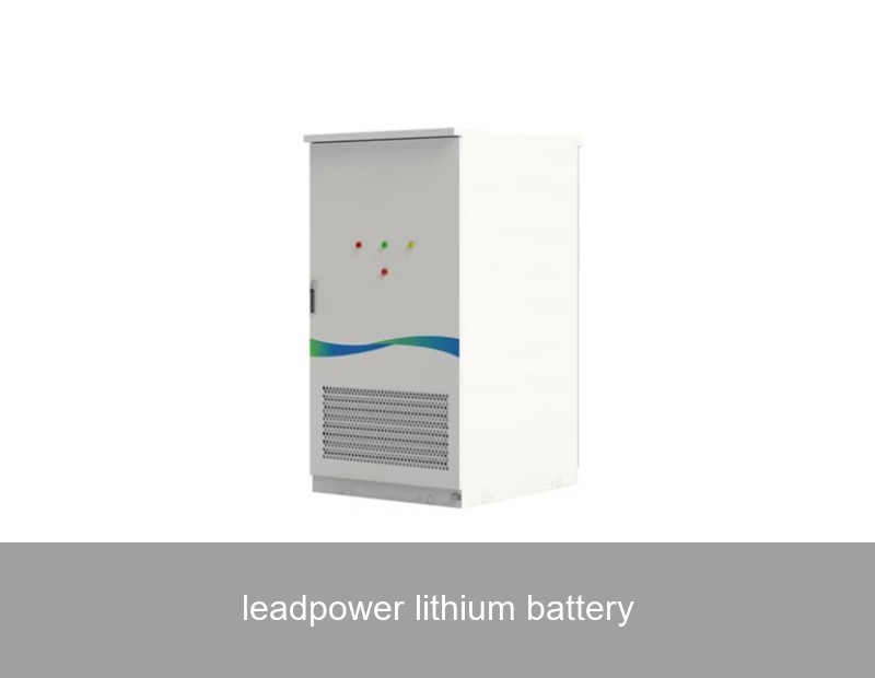 leadpower lithium battery