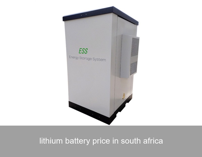 lithium battery price in south africa