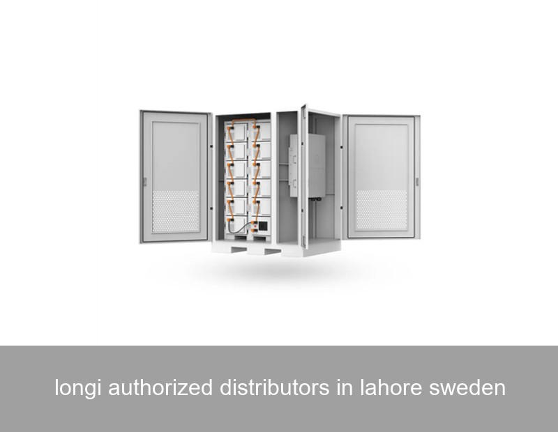 longi authorized distributors in lahore sweden