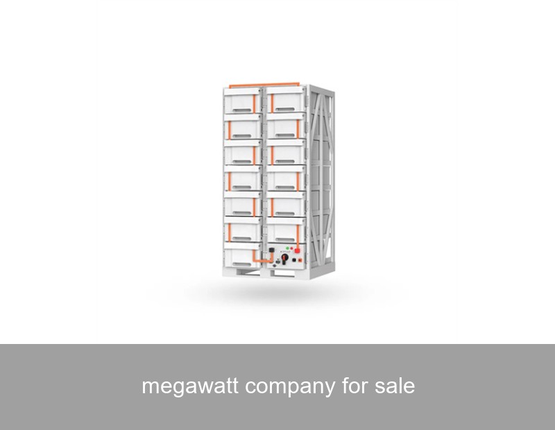 megawatt company for sale