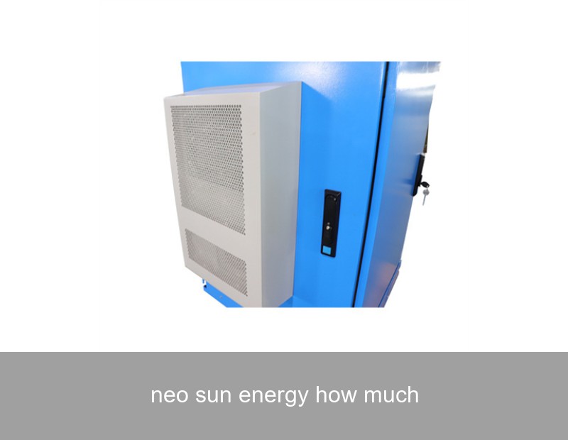 neo sun energy how much