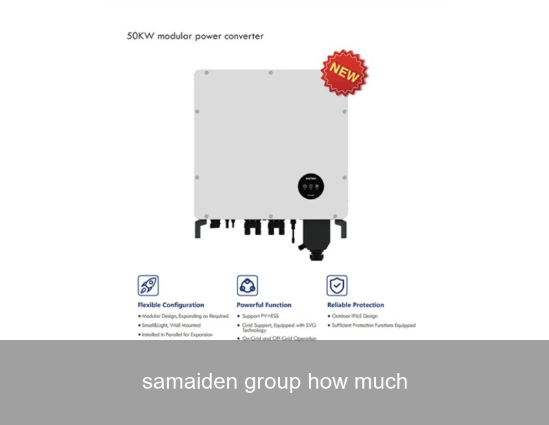 samaiden group how much